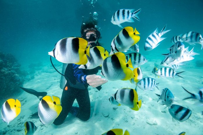 Première plongée dans le lagon à Bora Bora
