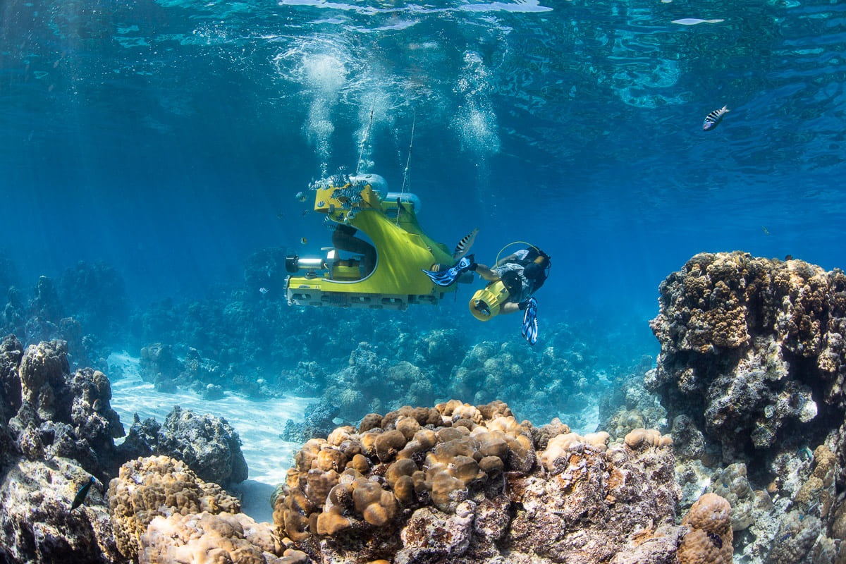 Entdeckung des Korallengartens in Bora Bora