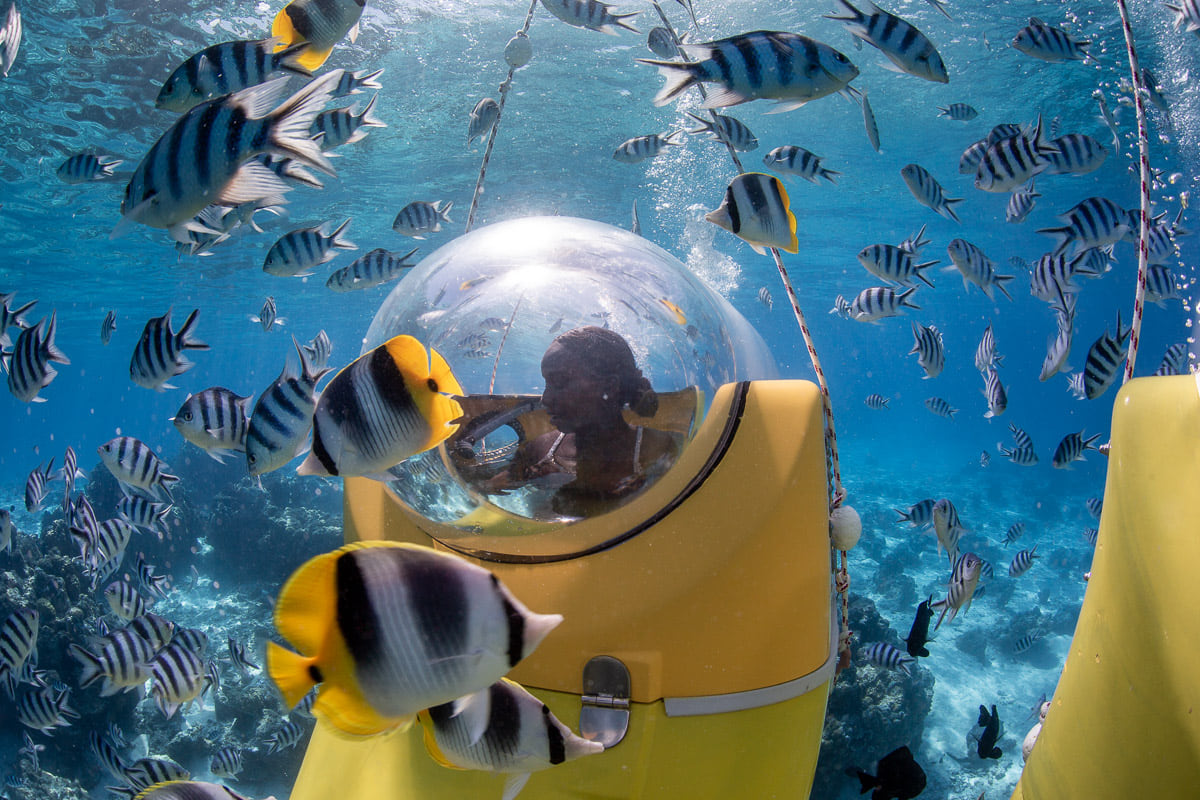 Fish around the underwater scooter in Bora Bora