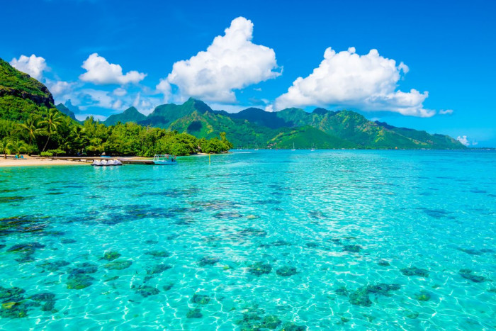 Experience Tropical Serenity on Moorea's Half-Day Lagoon Boat Tour