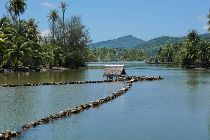 Archaeological Site - Ancient Fish Trap in Huahine