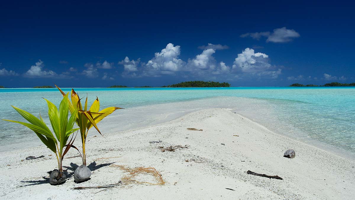 Plages en Polynésie française : Les plus belles plages à Tahiti et ses îles