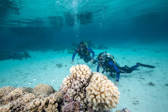 Romantic excursion in the lagoon of Bora Bora