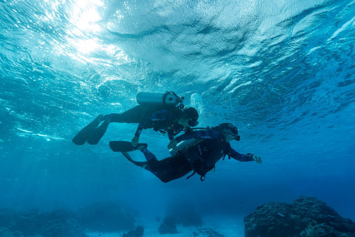 Diving with your instructor in Bora Bora