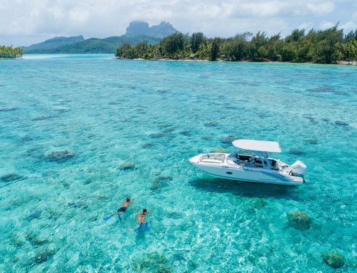 Lagune von Bora Bora: Wählen Sie die besten Aktivitäten!