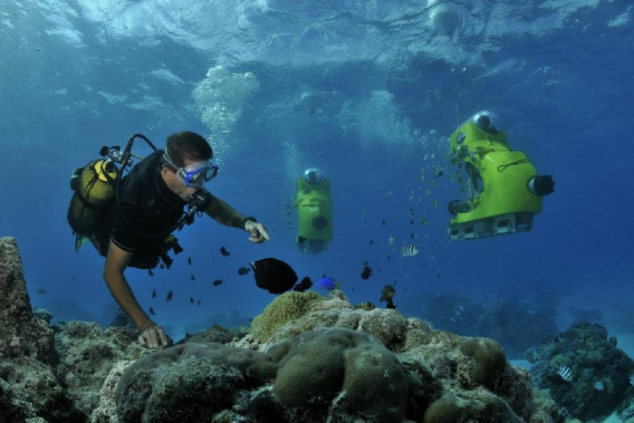 Discovery of the sea bed in Bora Bora