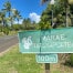 Autovermietung in Raiatea: Wie fährt man auf der Heiligen Insel?