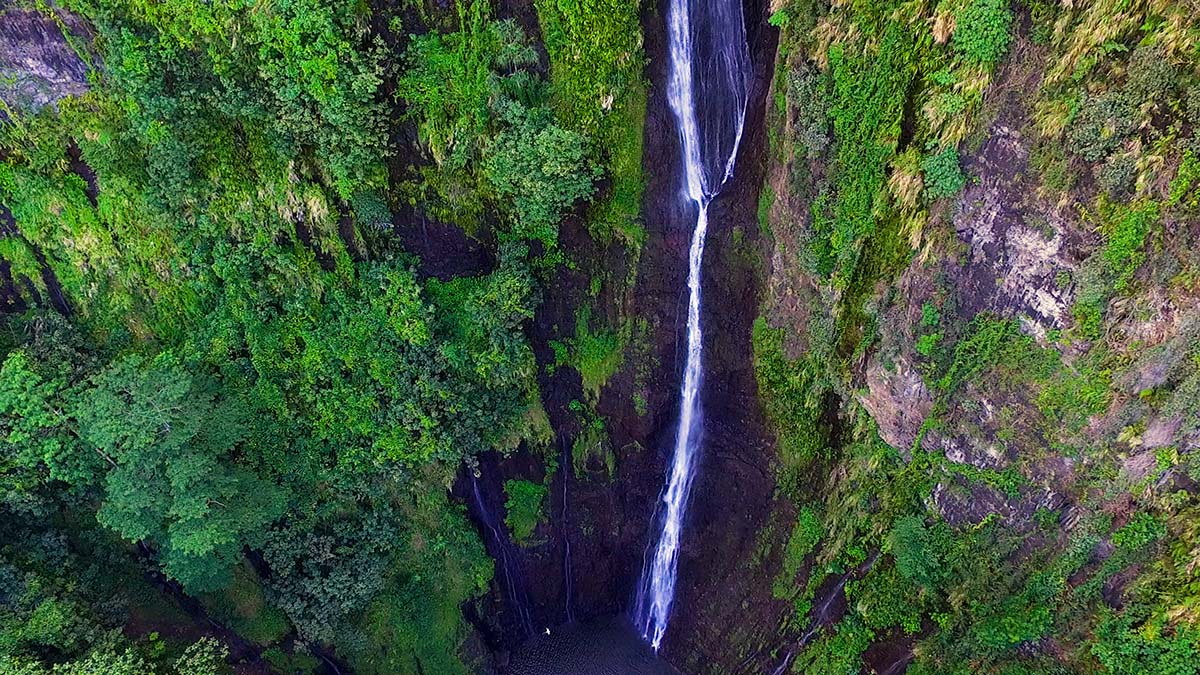 Cascade à découvrir pendant la randonné de la vallée de Faraura à Tahiti, Polynésie française