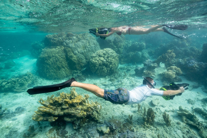 Discovery of the coral gardens in Bora Bora