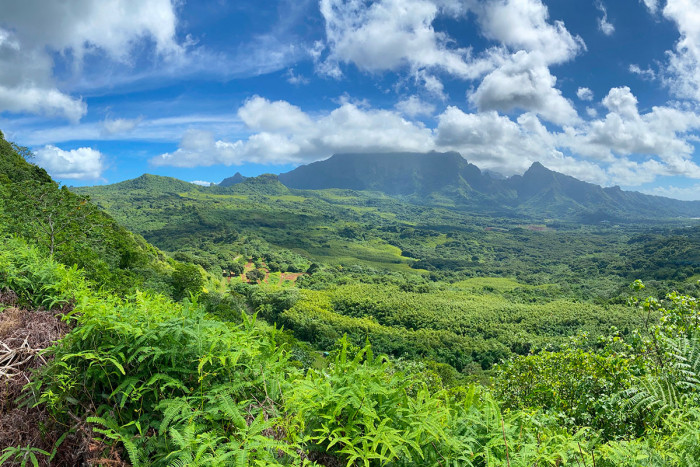 Crête de Macarangas, Raiatea, Polynésie française