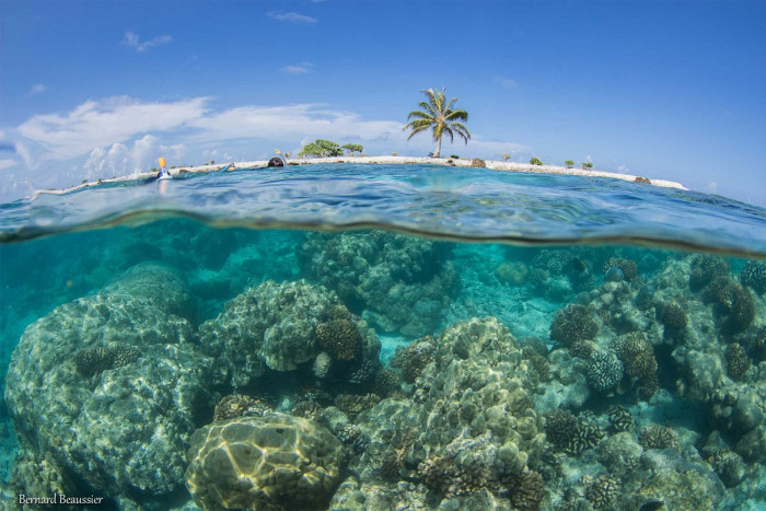 Discover the seabed by snorkeling in Rangiroa