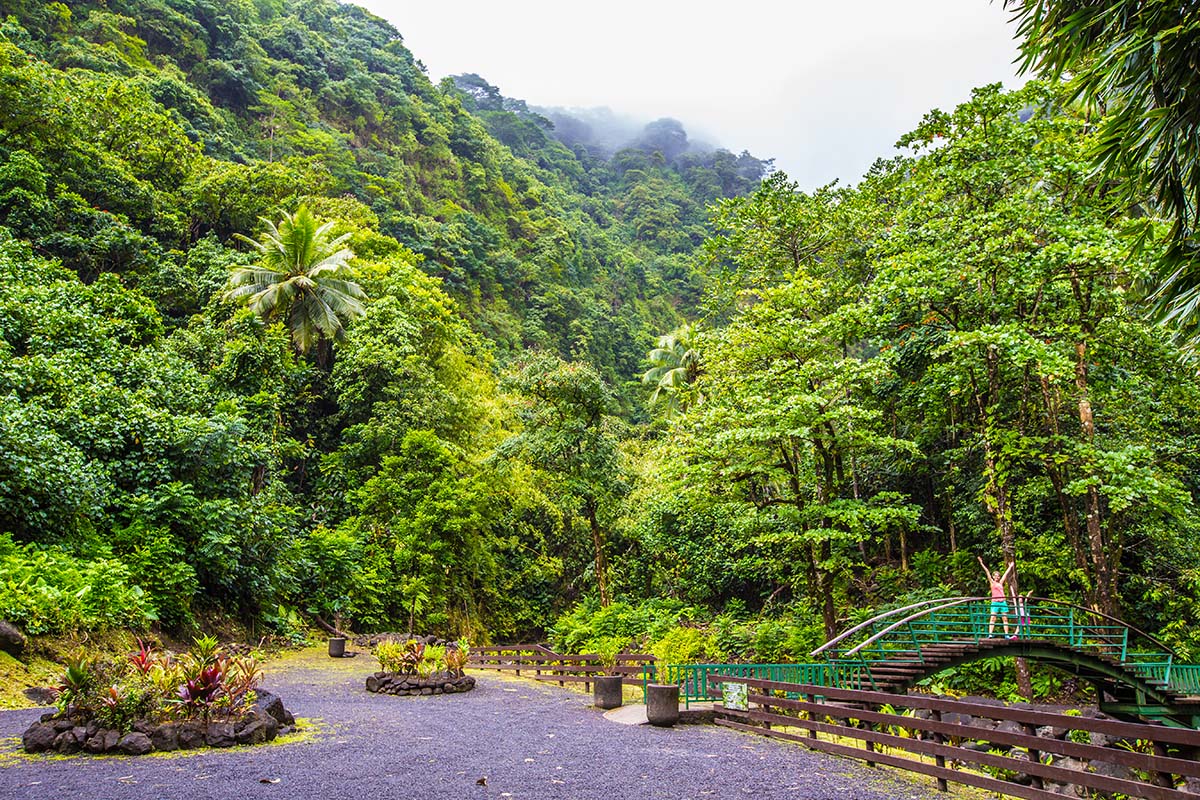 Hiking with children until the Faarumai Waterfall, Tahitit