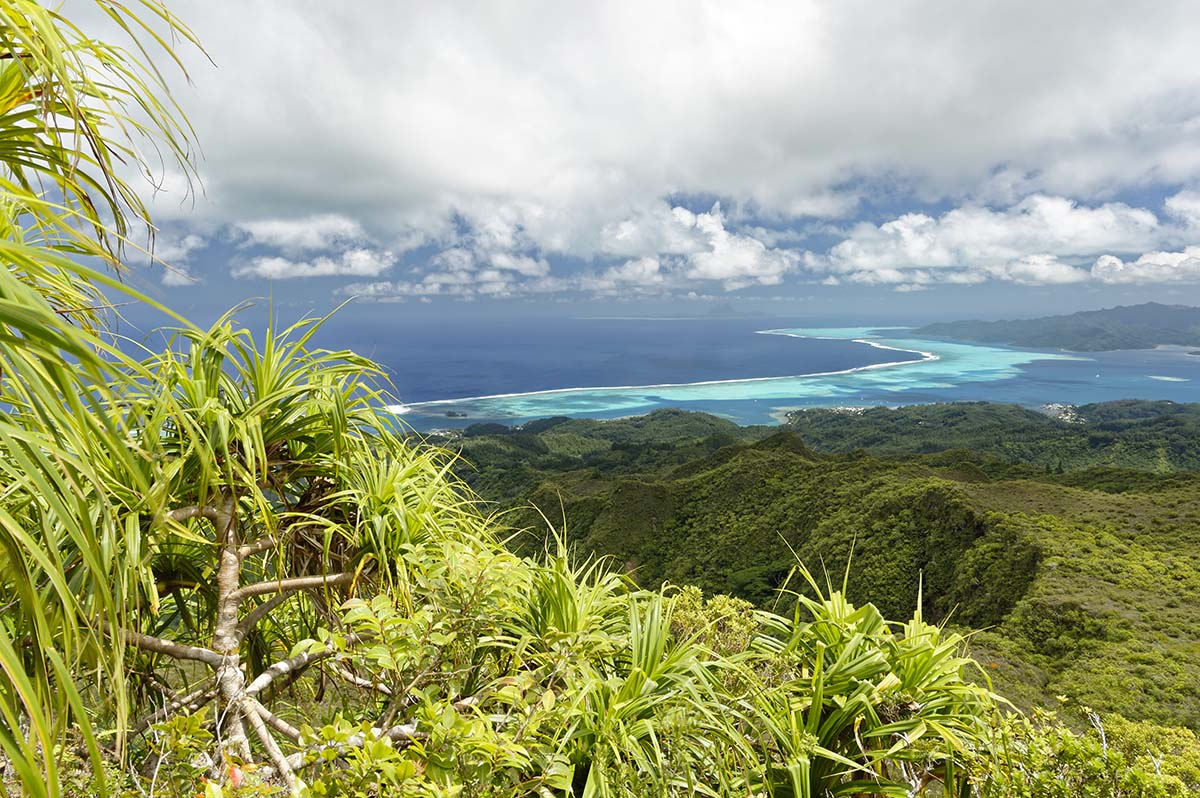 Hiking in Tahaa offers magnificent views of the island and its motus