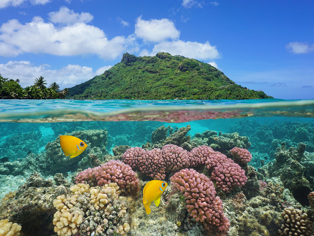 Korallenriffe in Huahine, Französisch-Polynesien