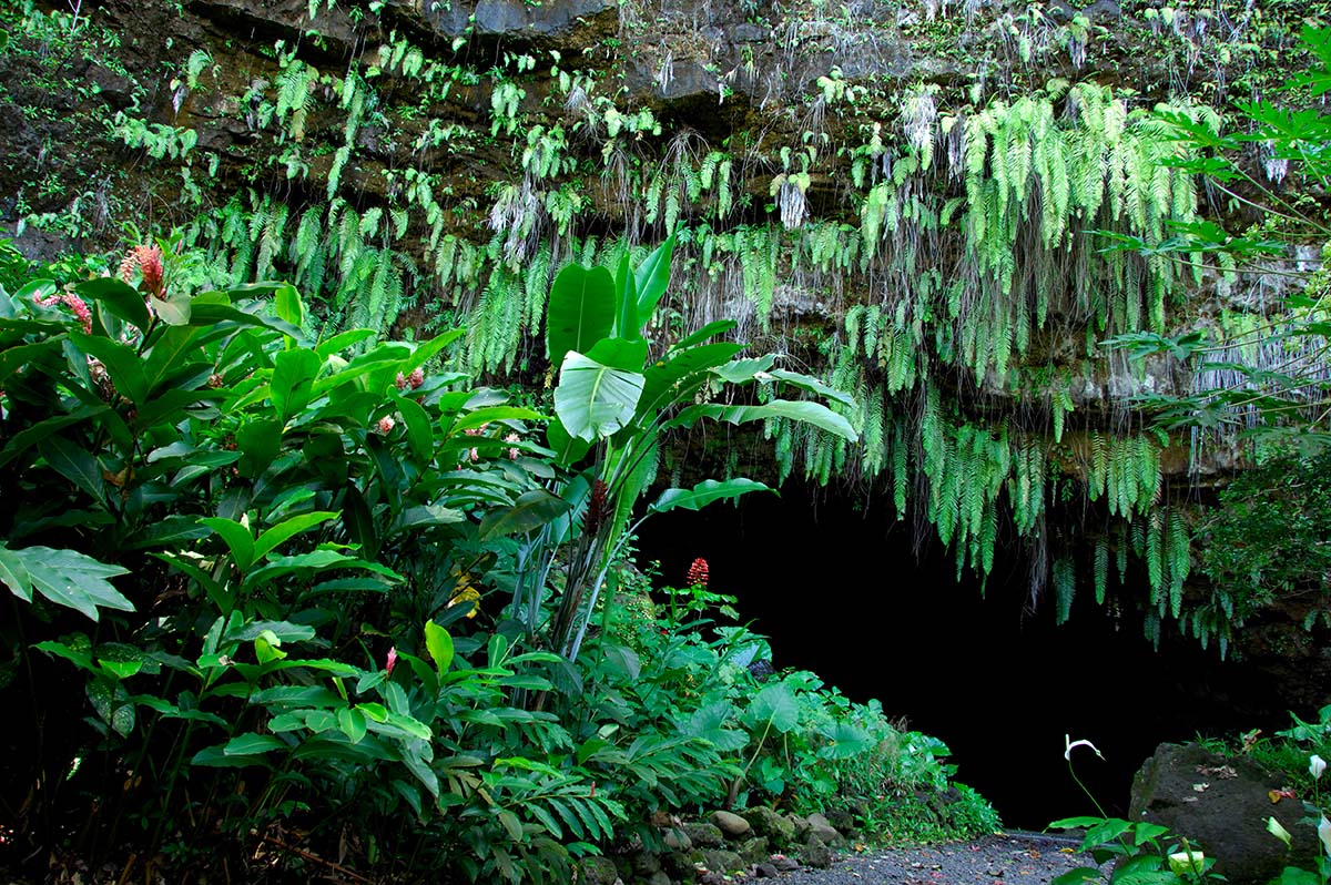 Lavatube of the Fern Grotto in Tahiti