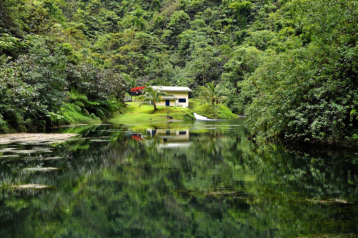 Reflets sur le lac Vaihiria dans la vallée de la Papenoo, Tahiti