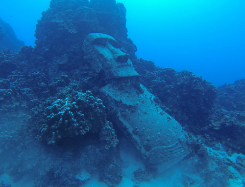 Diving on Easter Island: Explore unsuspected canyons