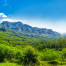 Randonnée à Moorea : À la découverte des plus beaux panoramas
