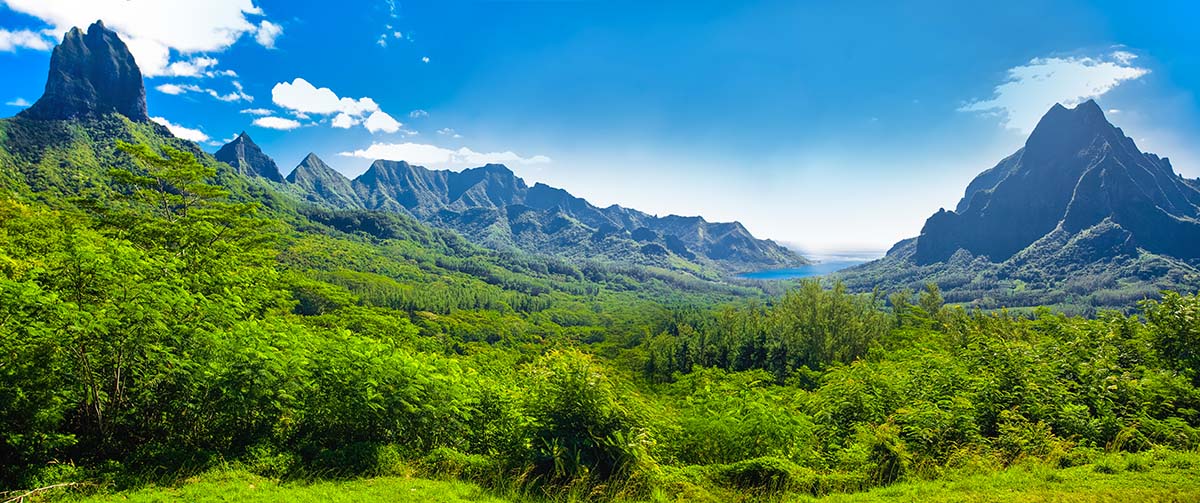 Hiking in Moorea : Discover the Most Beautiful Panoramas