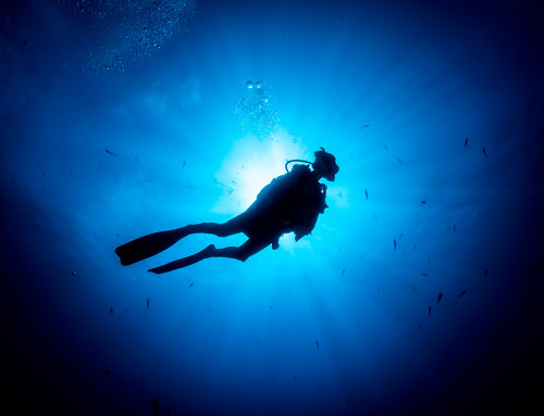 Diving in Raiatea: Nordby wreck awaits you!