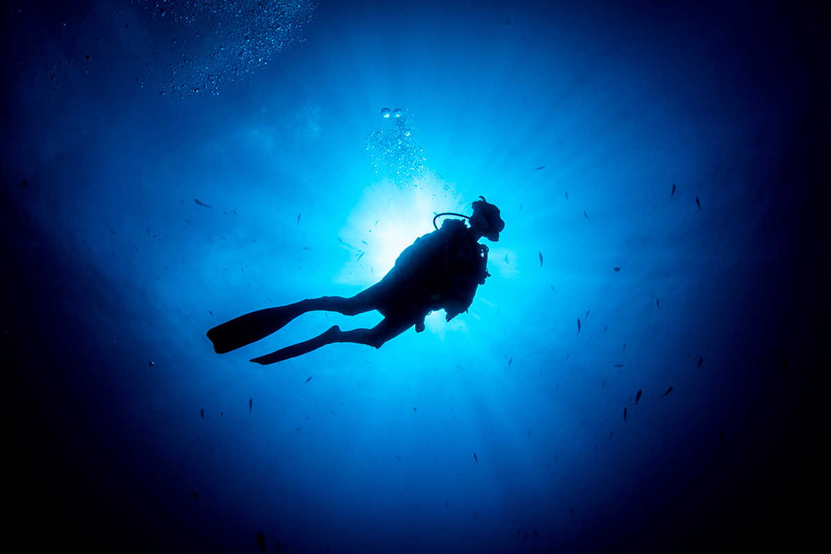 Diving in Raiatea: Drift dives and wreck visits