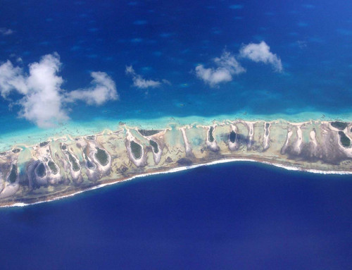 Que faire à Rangiroa : Top 5 activités sur l’atoll