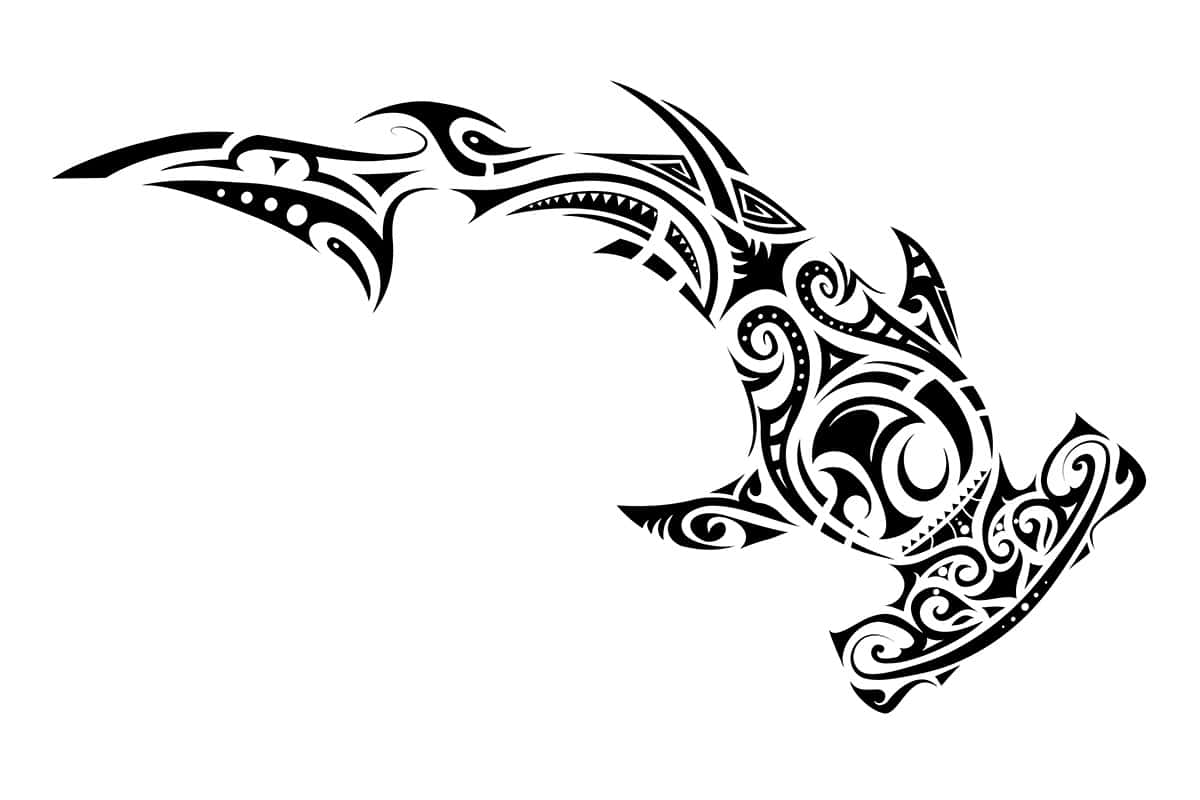 Sharks in Polynesian Culture with an Example of a Tattoo