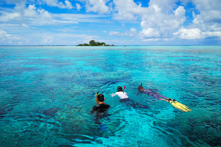 Private Tour to Rangiroa Blue Lagoon - Online Booking