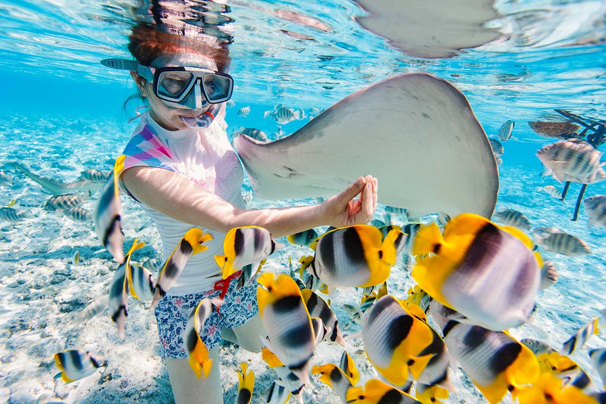 Plongée en apnée avec une raie manta et un banc de poissons tropicaux à Bora Bora, en Polynésie française.