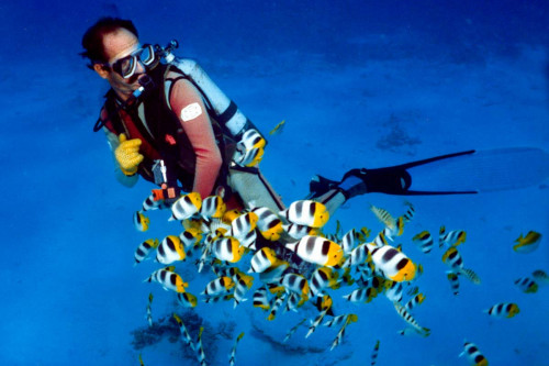 Sorties plongée à Bora Bora - Réservation en ligne