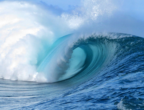 Surfen in Huahine: Traumspots in den Tropen