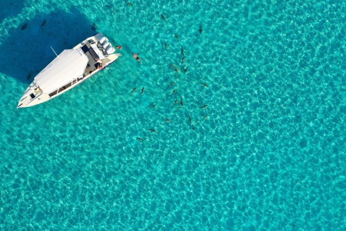 Snorkeling avec les requins pendant la journée d’excursion sur le lagon de Tahaa