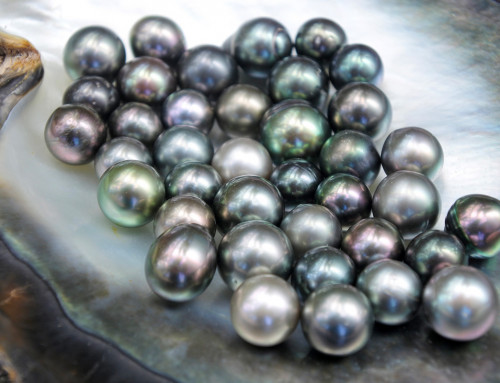 Tahitian Pearls: Find the best ones at the best price