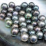 Tahitian Pearls: Where to Find the Best Ones at the Best Price?