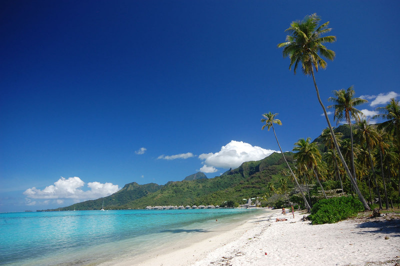 Moorea Beaches Discover The Top 5 Beaches In Moorea