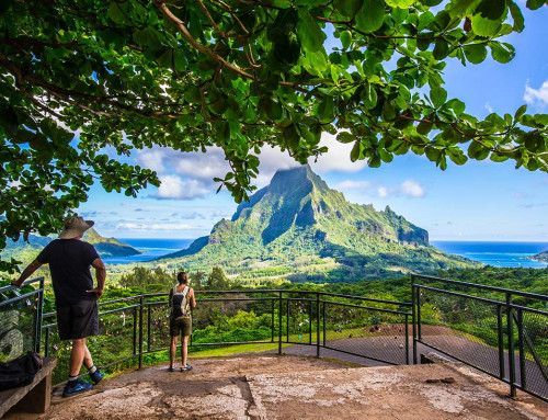 Best Things to Do in Moorea : Top 5 Activities on the Island