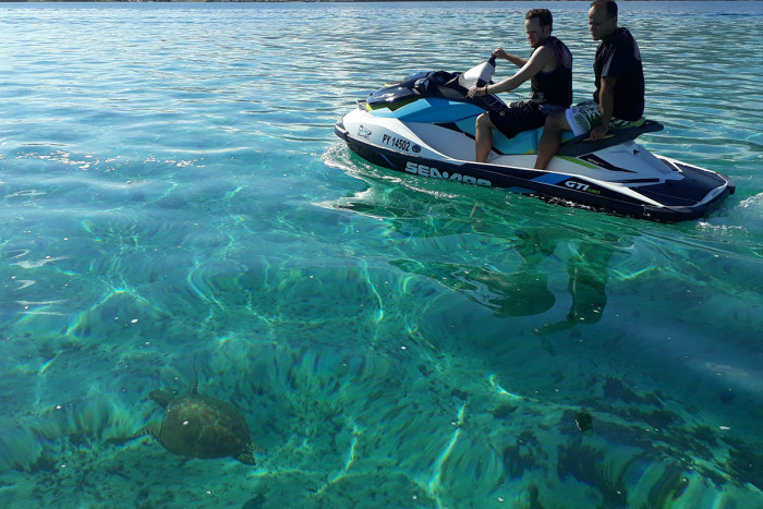 Blick auf Meeresschildkröten während des Jet-Ski-Ausflugs in Tahiti