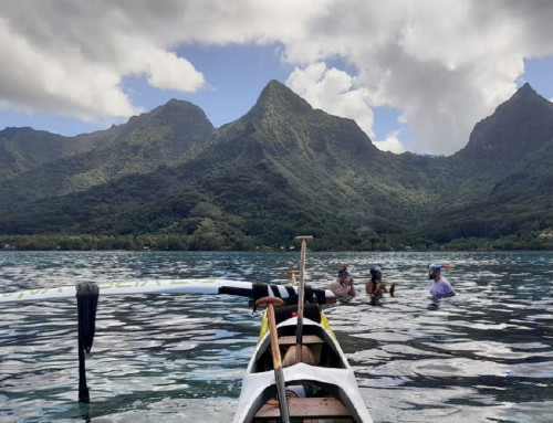 Va’a in Französisch-Polynesien: Kultur und Sport in der Lagune