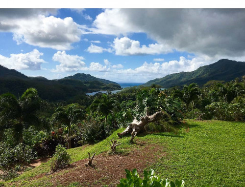 Tahiti-Vanille: Besuchen Sie eine Vanillefarm in Polynesien