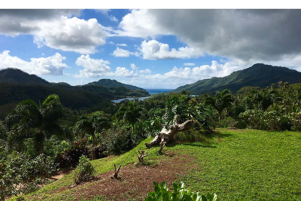 Tahiti-Vanille: Besuchen Sie eine Vanillefarm in Polynesien