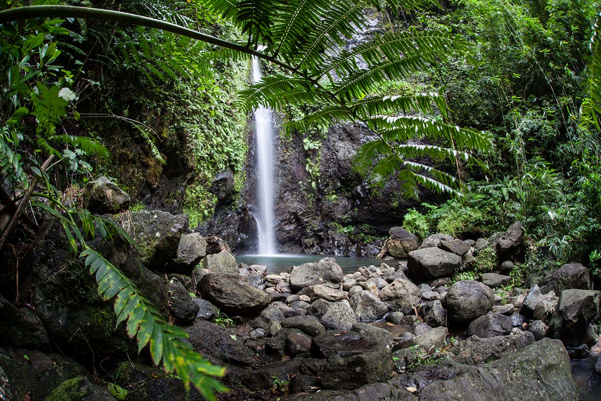 Wanderung zu den drei Wasserfällen auf Raiatea