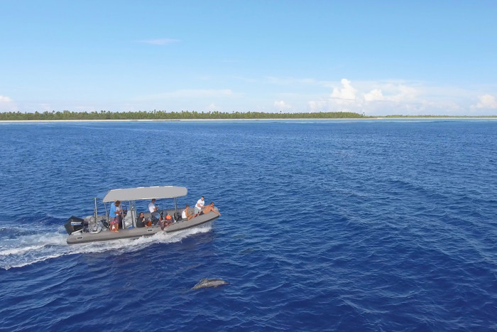 Walbeobachtungsboot in Bora Bora, Französisch-Polynesien
