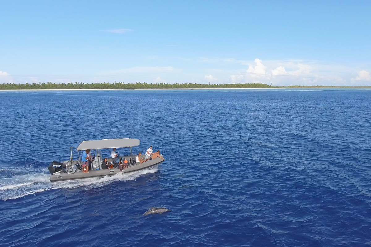 Bateau d'observation des baleines à Bora Bora, Polynésie française